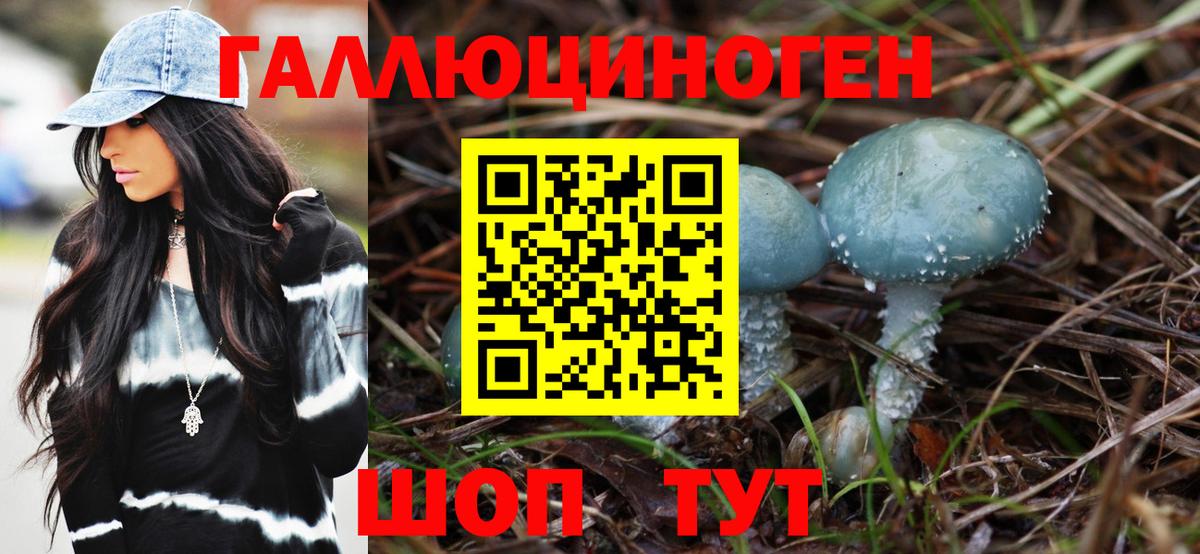 Псилоцибиновые грибы мухоморы  как найти наркотики  Кондопога  Вход с VPN 